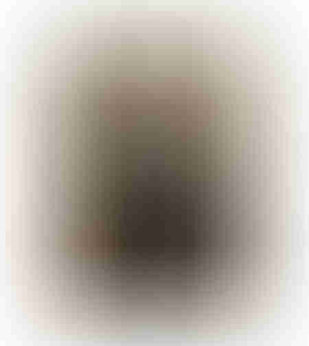 HUMAN FLOW PAINTING DECORATIVE WITH FRAME 80x120x4 CANVAS BROWN BEIGE PP BLACK
