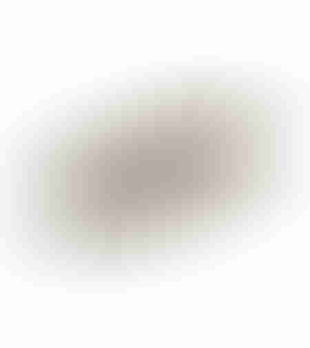 MANDY TRAY ALUMINIUM CHAMPAGNE 39x19xH1cm IN