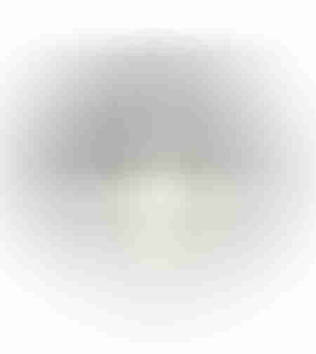 ARGENTO VASE 28x28x24 CERAMIC SILVER