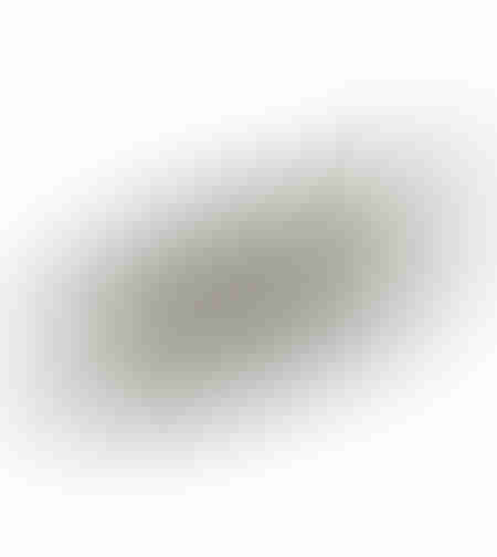 KEN TRAY ALUMINIUM SILVER MATTE 41x15xH4cm IN
