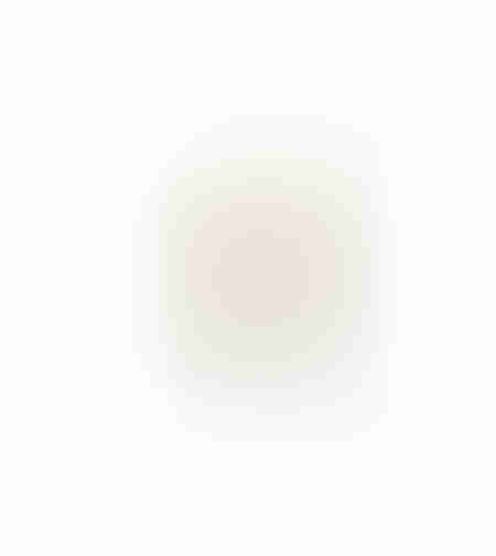 AROMA DELIGHTS ARTIFICIAL FLOWER FOAM PVC CR GR