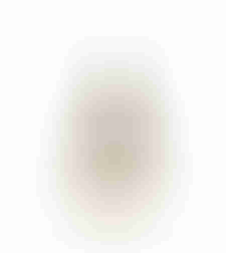 XMAS EVE TREE ALUMINIUM WOOD MANGO SILVER NATURAL