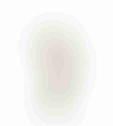 CANCUN DECO CACTUS POLYRESIN WHITE 16x5,5xH29cm PR