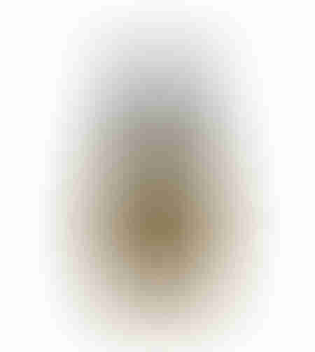 CHERN VASE POLYRESIN NATURAL SILVER D8,2xH14,5cm P