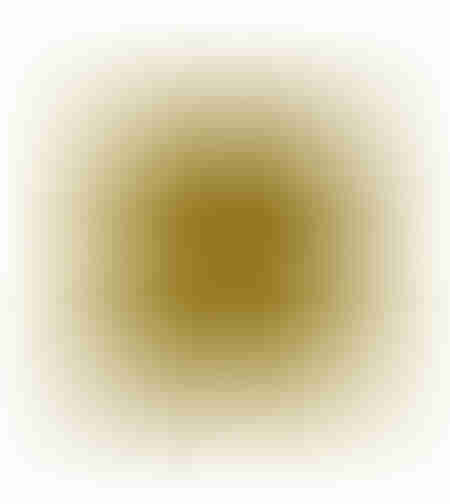 REPOUSSE DECOR CUSHION VELVET POLYESTER GOLD 45x45