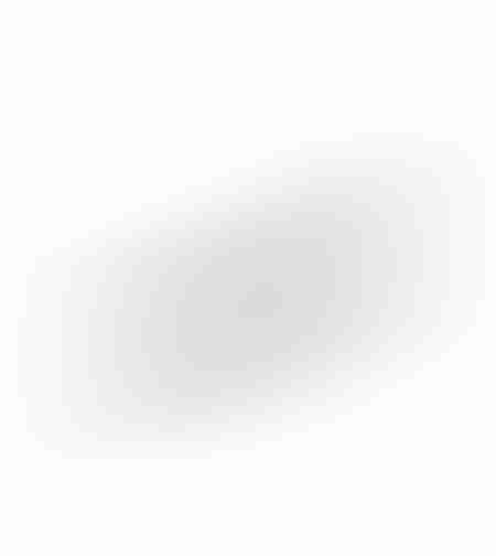 ORLY BOWL ALUMINIUM SILVER 46x13xH4cm IN