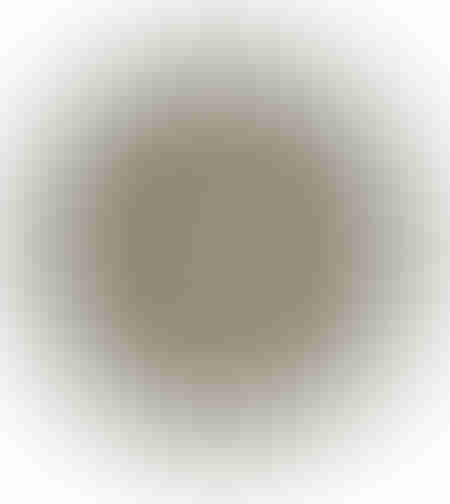 TRISHA PLACE MAT BEIGE D38cm IN