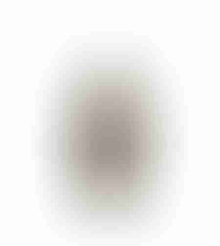 LANTE CHRISTMAS DECORATION FOR CANDLE 9.2x9.2x26.5 METAL BEIGE