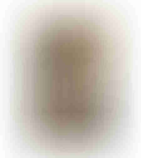DESERT BLOOM PAINTING DECORATIVE WITH FRAME 80x120x4 CANVAS BROWN BEIGE PP