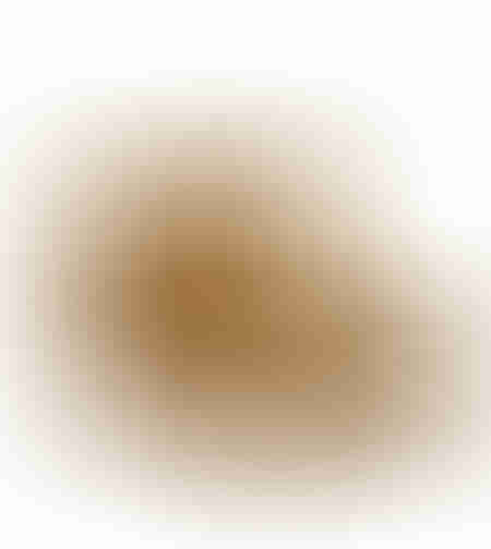 MEXICO ARMCHAIR EASY CLEAN FABRIC MUSTARD E1 EU