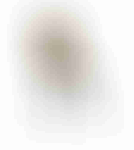 DUE FACCE CHAIR FABRIC LATTE BEIGE METAL BLACK E1 PRC
