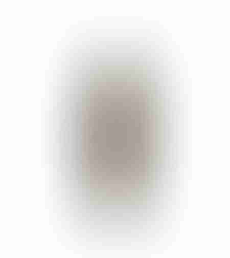 LANTE CHRISTMAS DECORATION FOR CANDLE 9.2x9.2x36 METAL BEIGE