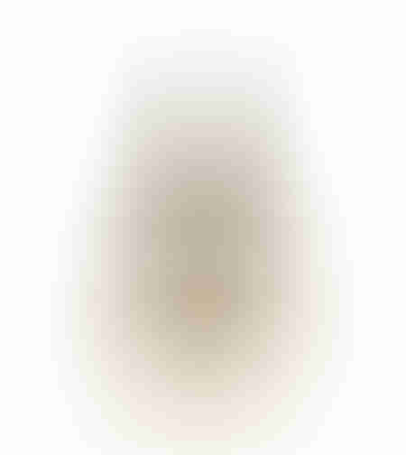 XMAS HARK TREE ALUMINIUM WOOD MANGO GOLD 18x6xH30c