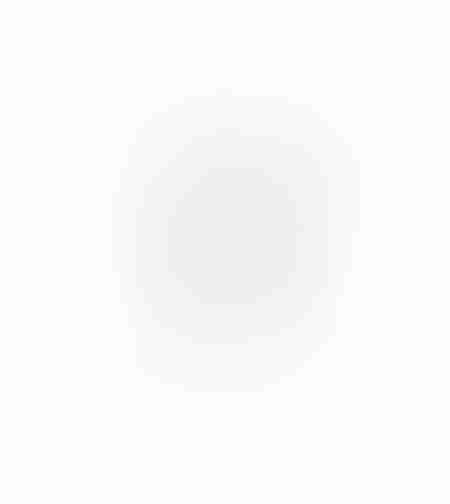 AROMA GRACE ARTIFICIAL BRANCH FOAM PVC GREY H85cm