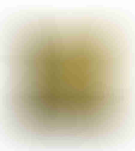 ACAI DECOR CUSHION VELVET BEIGE DIJON GREY 45x45cm