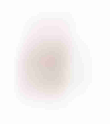 XMAS POWDER DEER 1 DEER POLYFOAM PLASTIC WHITE RED