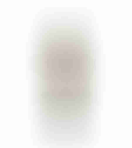 XMAS PRISK A SOLDIER POLYRESIN GOLD WHITE 10x8xH31