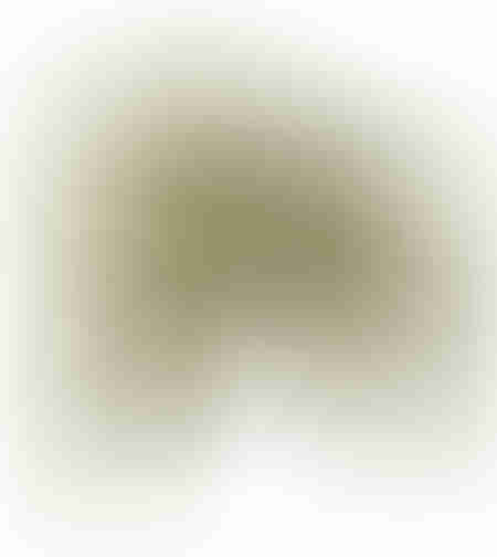 LOOP ARMCHAIR FABRIC LIME E1 PRC