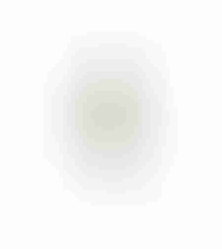 AROMA WISHPER ARTIFICIAL FLOWER FOAM PVC GREEN H63