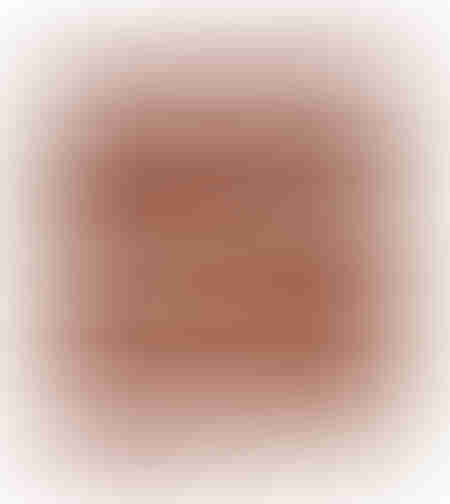 SHAYE TERRA PAINTING DECORATIVE 100x100x5 CANVAS BEIGE REDDISH BROWN WOOD NATURAL