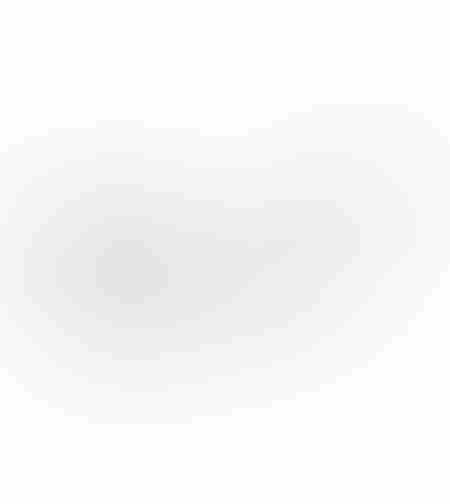 PISTRIS 1 DECO FISH POLYRESIN WHITE 40x10,7x17,6 P