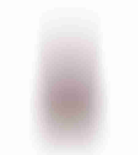 XMAS BORDO 5 TREE PINEWOOD BORDEAUX D8,7xH32,5cm P