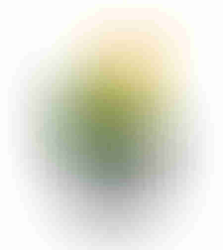 LAKHSMI 4 ARTIFICIAL PLANT IN PLANTER POLYRESIN BL
