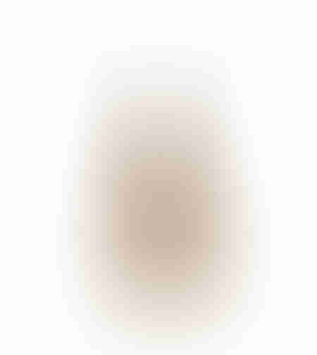 XMAS NATALE 2 TREE WOOD NATURAL GREY 17x7xH30cm IN