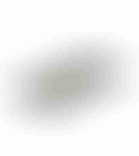 FLAT TRAY ALUMINIUM SILVER 49x26xH4cm IN