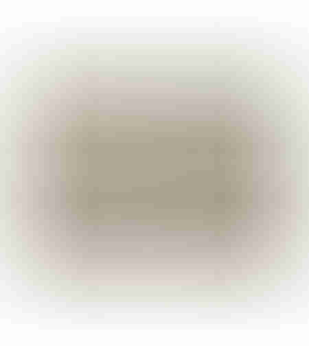 AIRY SHADOWS A PAINTING WOOD BEIGE FRAME BEIGE 70x