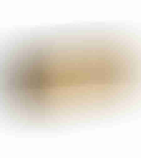 RITZ SIDEBOARD 4DOORS WOOD MANGO BLACK GOLD MAT METAL 180x45xH76cm IN
