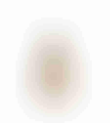 ANANNIA DECO PINEAPPLE POLYRESIN SILVER D13,5xH24c