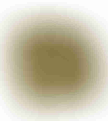 SQUARE ARMCHAIR FABRIC OLIVE GREEN LIGHT PRC