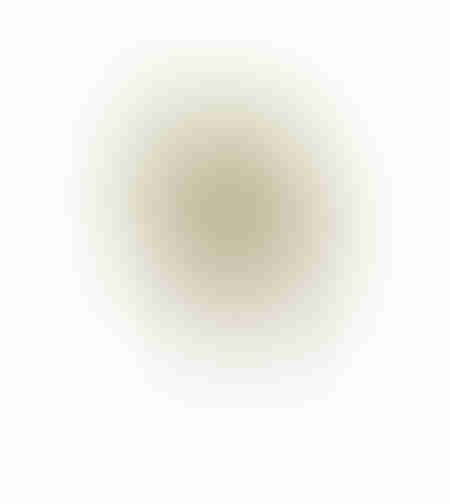 AROMA DELIGHTS ARTIFICIAL FLOWER FOAM PVC CREAM H2