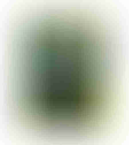 JUNGLE 2 PAINTING CANVAS WOOD 76x100xH3,5cm PRC