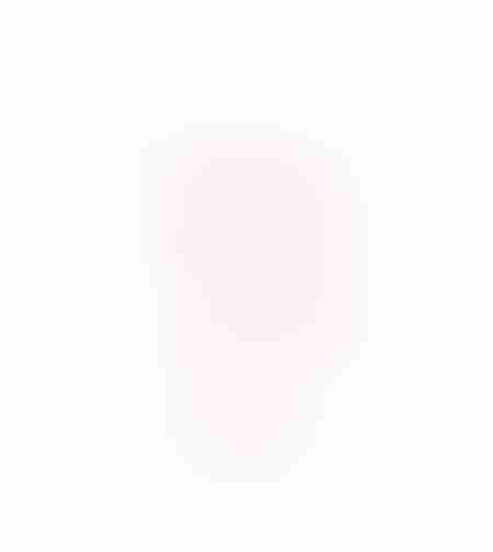 ROSEUS DECO FLAMINGO POLYRESIN PINK 24x12xH46cm PR