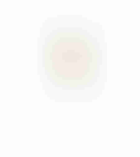 VEGUR 9 ARTIFICIAL FLOWER EVA FOAM YELLOW BROWN H1