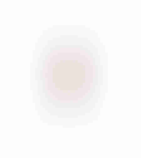 AROMA BLISS ARTIFICIAL BRANCH FOAM PVC PINK H75cm
