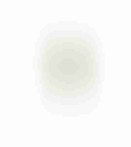 AROMA WISHPER ARTIFICIAL FLOWER FOAM PVC GREE GRE