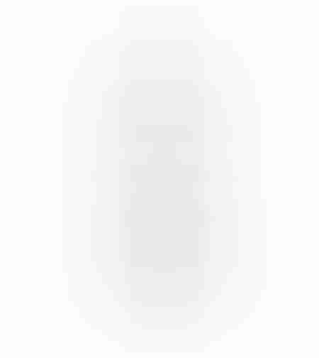 LADDER COUNTRY DECO LADDER 48x6x183 WOOD GREY