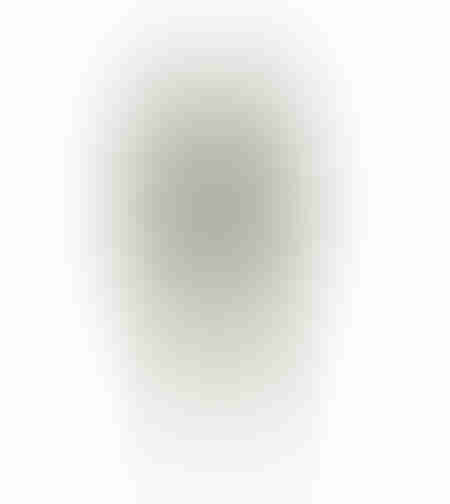 FICUS ARTIFICIAL PLANT POLYESTER PE/PP GREEN H170c