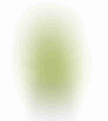 SUNNY FLOWER ARTIFICIAL PLANT IN POT PVC GREEN H70