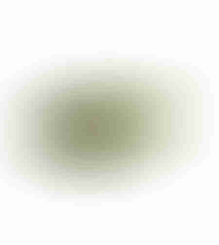 PLY PLATTER POLYRESIN OLIVE GREEN 31x15xH6cm PRC