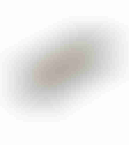 ORLY FLAT TRAY ALUMINIUM SILVER 52x23xH2cm IN