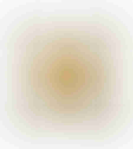 AMBITIUS 1 PAINTING CANVAS GOLD WHITE WOOD FRAME G