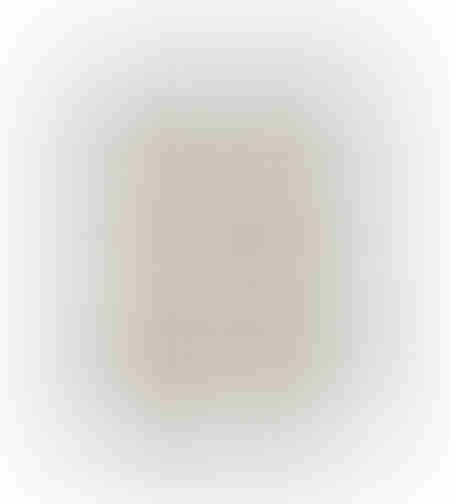 ELYSIAN PAINTING DECORATIVE 90x120x5 CANVAS WHITE BEIGE BROWN GREY WOOD NATURAL