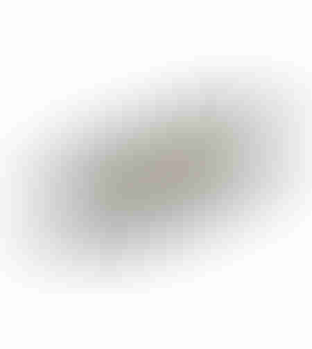 NEDD TRAY ALUMINIUM SILVER MATTE 39x19xH2cm IN