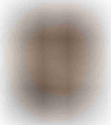 TERRYN EARTH PAINTING DECORATIVE 90x120x4 CANVAS BROWN BEIGE GREY WOOD