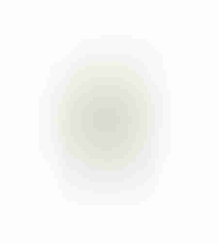 AROMA WISHPER ARTIFICIAL FLOWER FOAM PVC GR GRE
