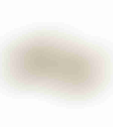 REED OVAL TRAY SET 2PCS ALUMINIUM GOLD 45/37x30/23